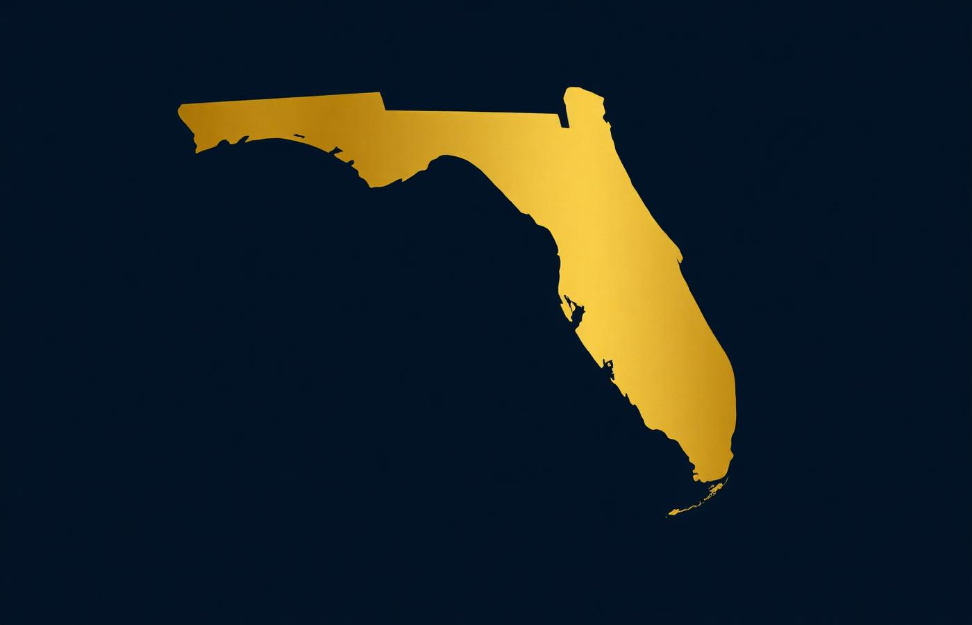 Florida map illustration